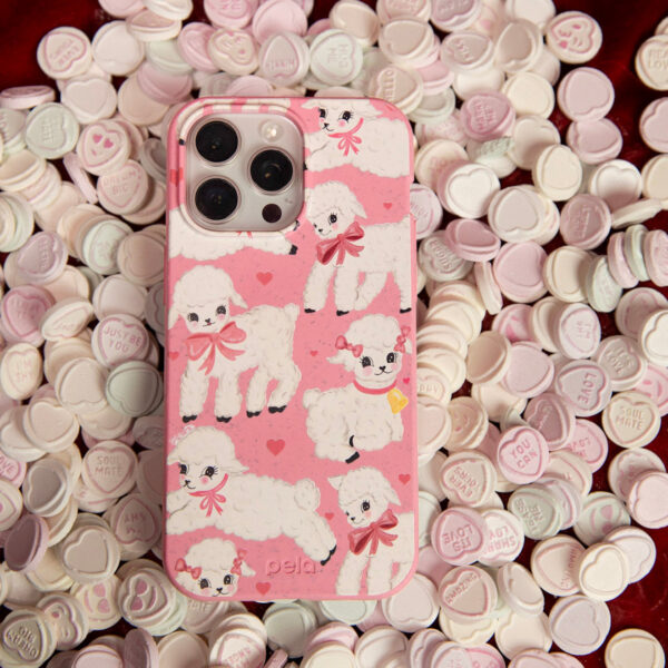 iPhone 16 Series Case